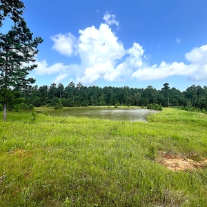 133.80 acres Beautiful Pasture, 2 Acre Lake, View for Miles